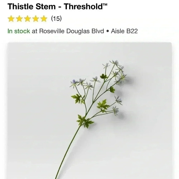 NWT 12pc Thistle Stems - Threshold - Picture 4 of 5